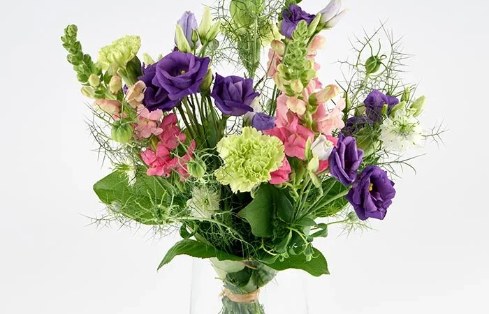 Bloomit